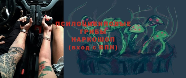 соль ск Алексеевка