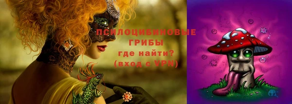 соль ск Алексеевка