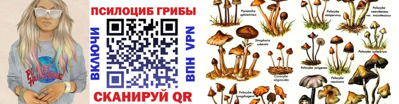 даркнет официальный сайт  Пласт  Псилоцибиновые грибы мухоморы  сколько стоит  OMG сайт 